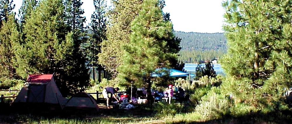 Summer Pineknot Campground