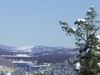 About Big Bear