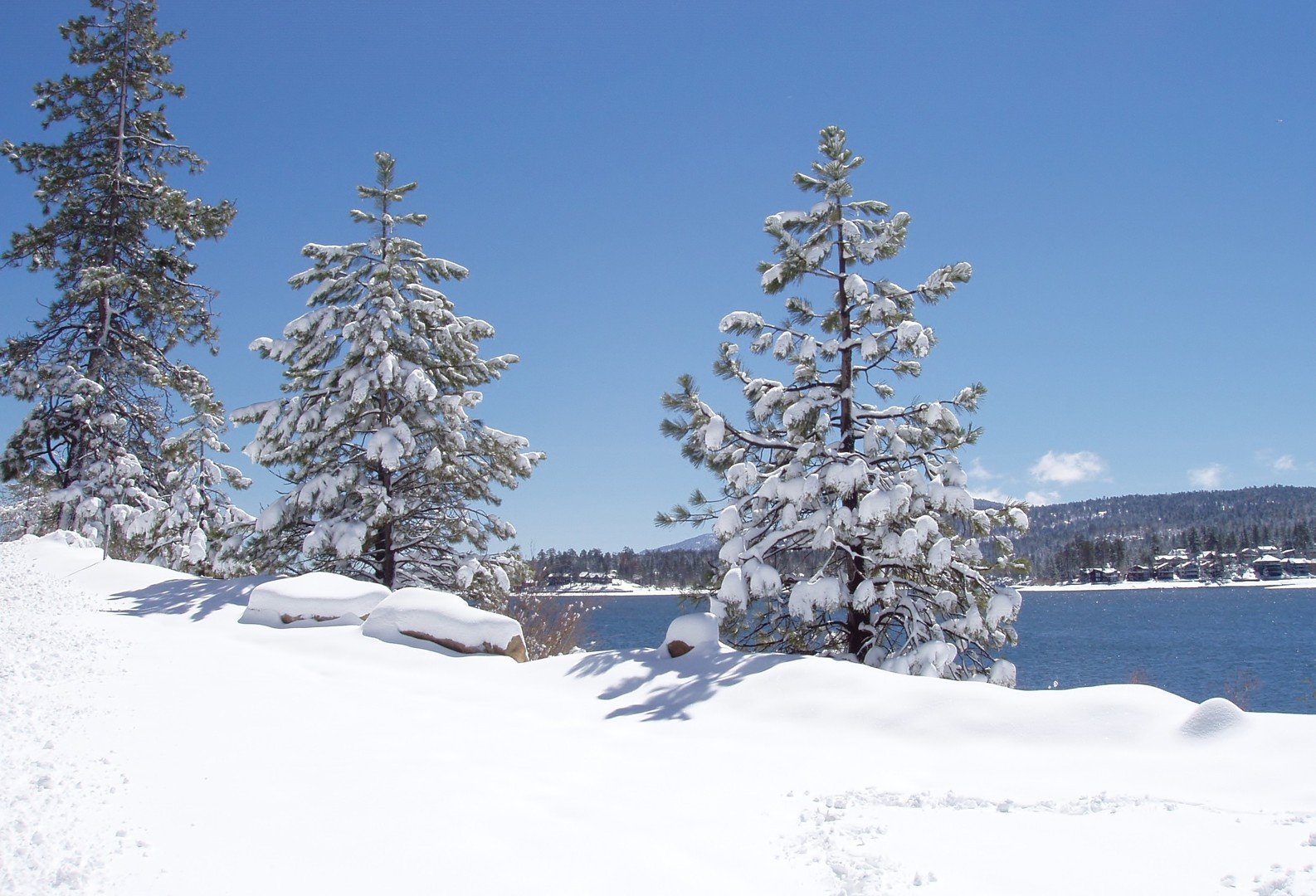 big bear winter
