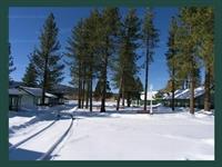 Bay Meadows Resort 15(1)