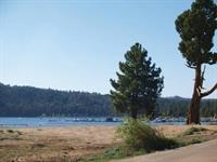 Bay Meadows Resort 17(1)