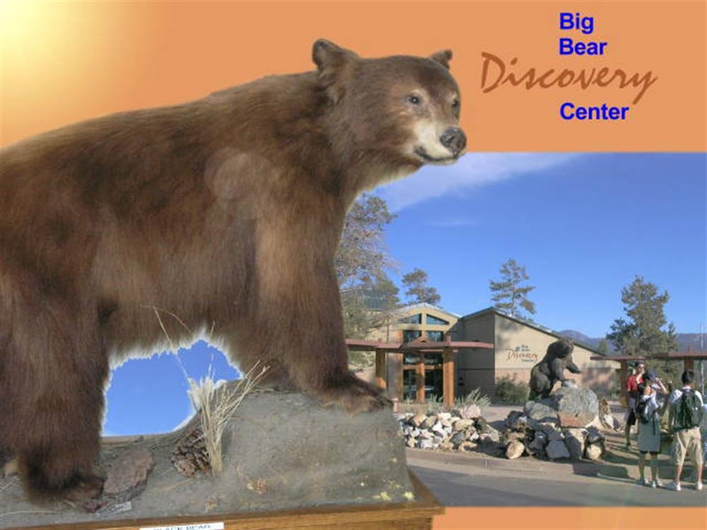 Big Bear Discovery Center 1