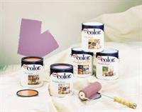 Big Bear Paint Center 1