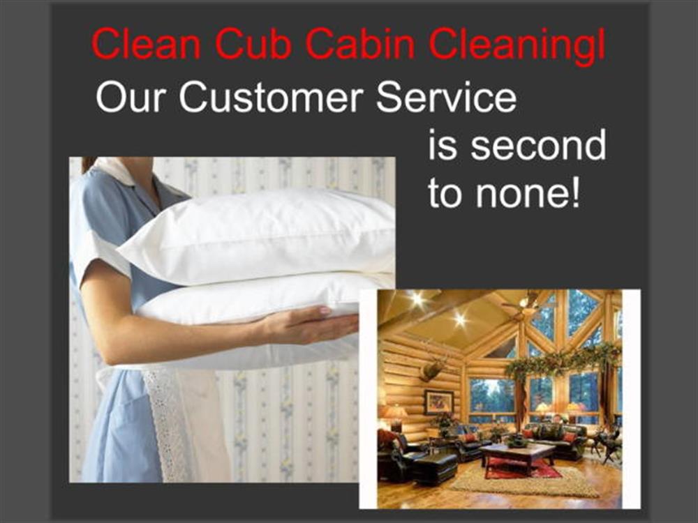 Clean Cub Cabin Cleaning