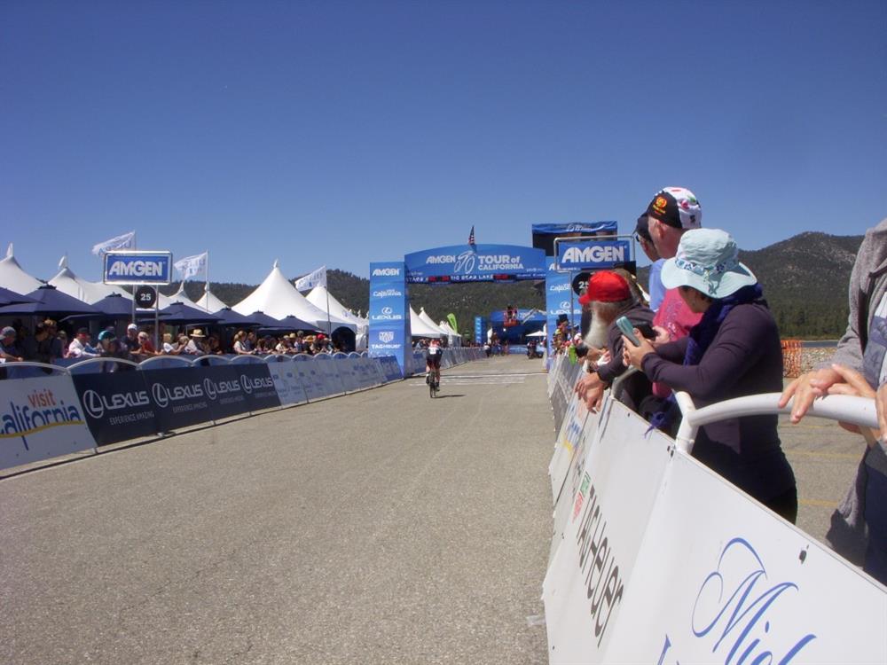 Amgen (28)