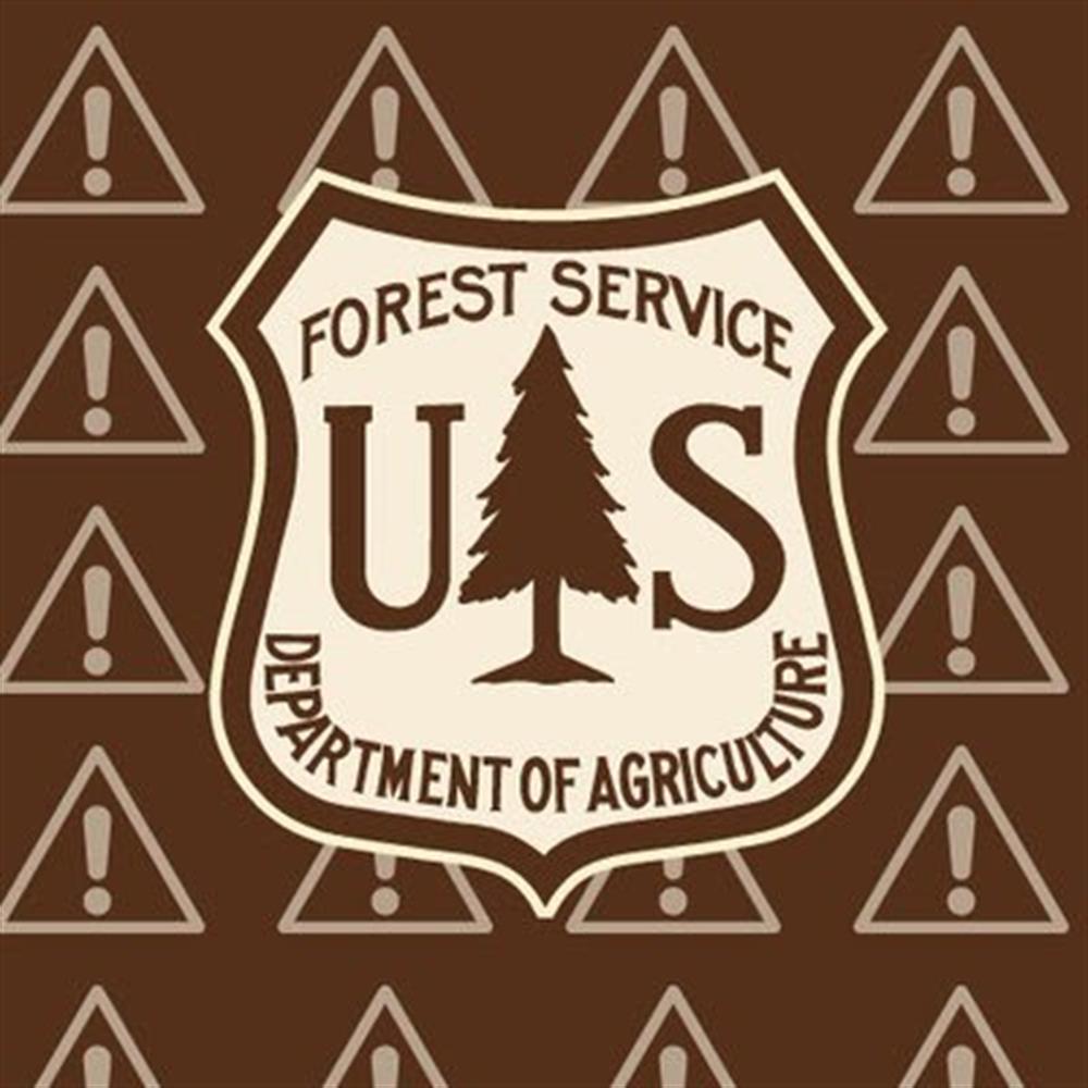 FOREST Service Aug 2020