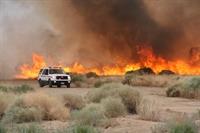 SBCoFIRE Cascade Joshua Tree 081920a