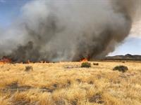 SBCoFIRE Cascade Joshua Tree 081920b