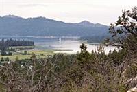 BBV Views 