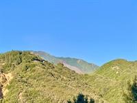 FIRE CalFire Mount R_070320