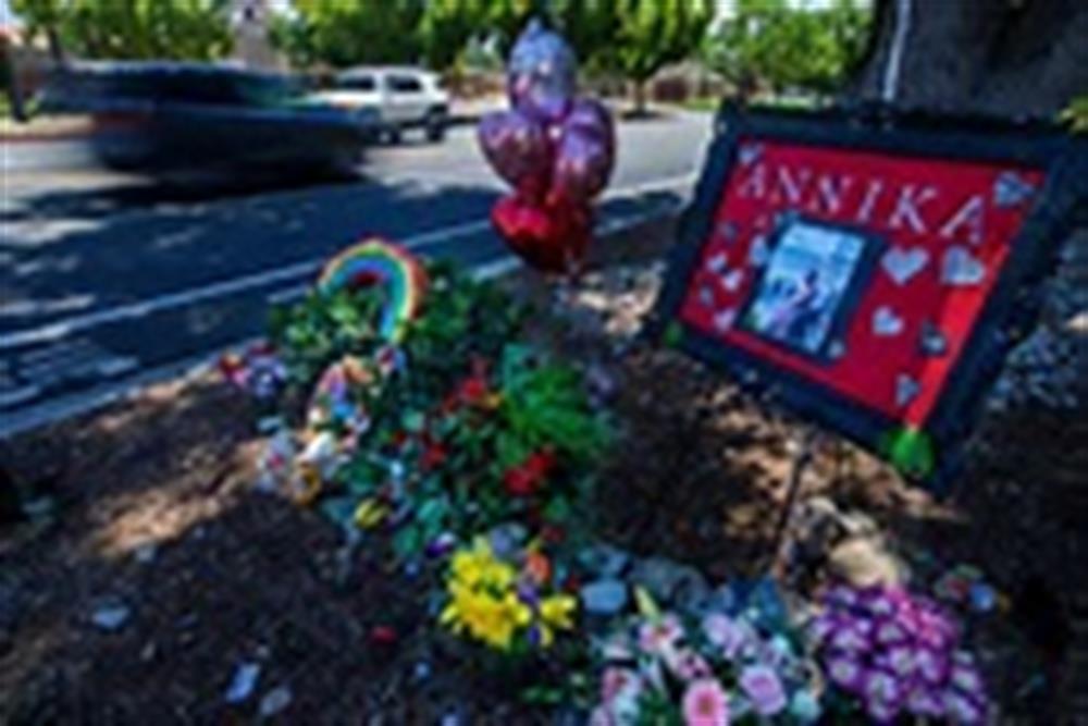 SBCo Sheriff 11yr hit run 06-20c