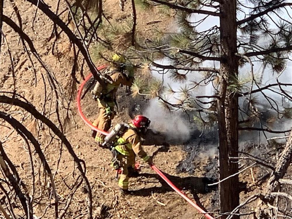 FIRE BB Veg Summit e1119