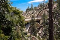 IMG_3550(1)