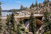 IMG_3557(4)