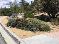 Chipping Pile[1]