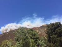 FIRES AUG 2016