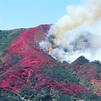 FIRE Blue Don Shade 081816
