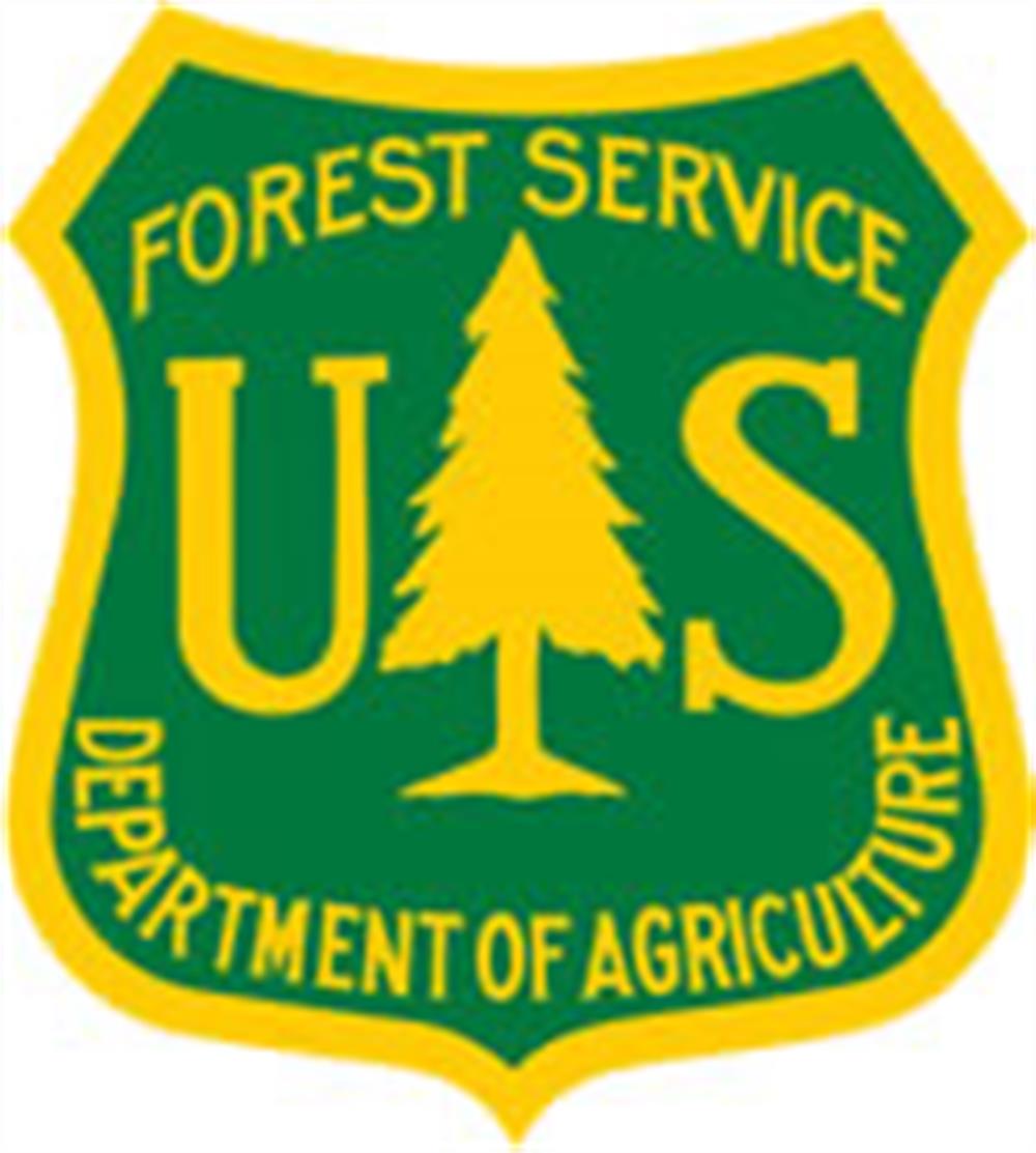 Forest color LOGO