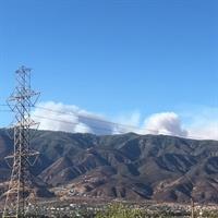 IMG_0197[1]