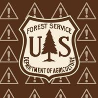FOREST campfires 
