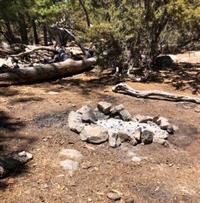 Forest Illegal C Fire JohnBull Trail 05-21 f