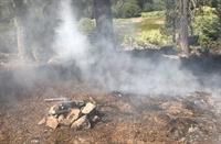 Forest Illegal Camp Fire July 2021b