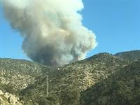 FIRE Holcomb V Heather 061917