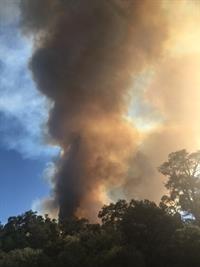 FIRE Holcomb V Heather C 061917
