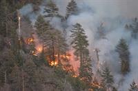 Fire 042013 DSC_1282