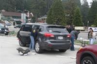 IMG_4967[1]