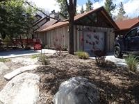Mott_garden3[1]