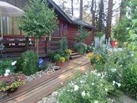 Mulvihill_garden1[1]