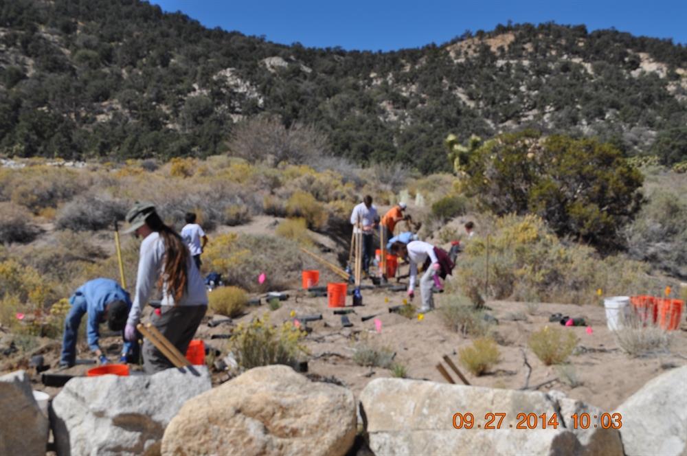 Nat'l Lands volunteer Cactus Flat  2014(4)