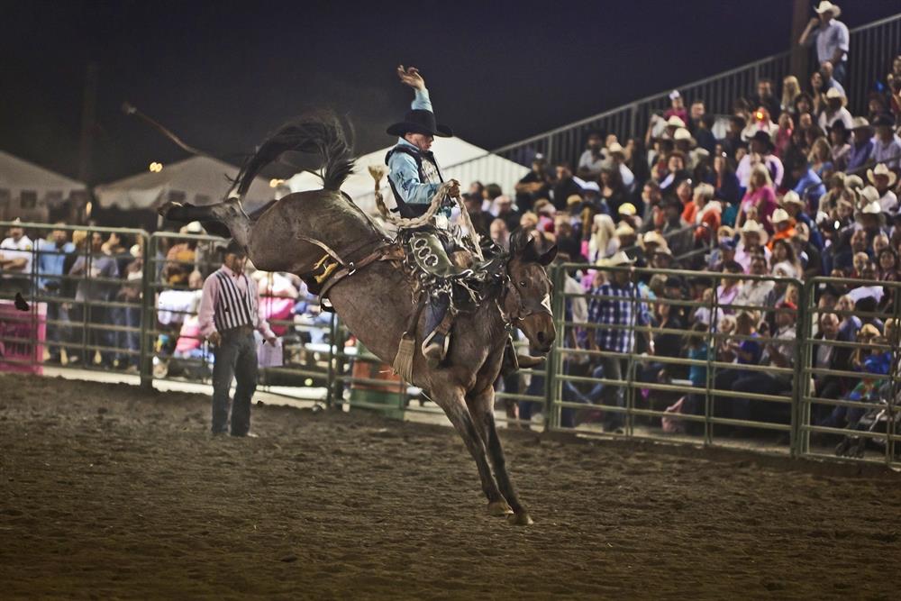 Sheriff's_Rodeo_2011-2482[1]