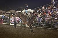 Sheriff's_Rodeo_2011-2482[1]