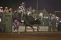 Sheriff's_Rodeo_2011-2688[1]