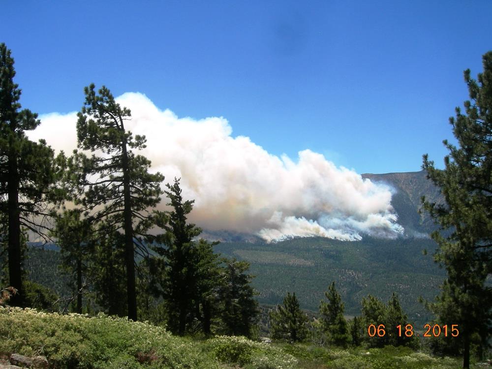 Fire (4)
