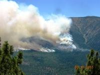 Fire (7)