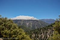IMG_2203