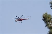 IMG_5198[1]