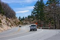 IMG_3544