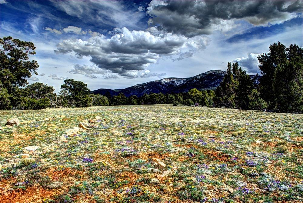 Pebble Plain 0514