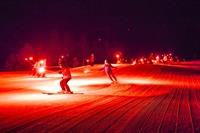 torchlight_2013-2[1]