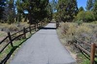Alpine Path sep (2) 2013 A B Clark