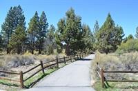 Alpine Path sep 2013 A B Clark