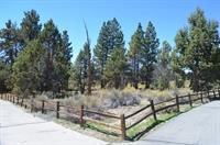 Big Bear pics 17sep13 (52)