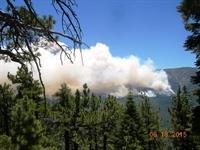 Fire (9)(1)