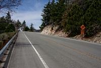 IMG_3526(1)