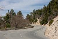 IMG_3529