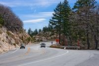 IMG_3546(1)